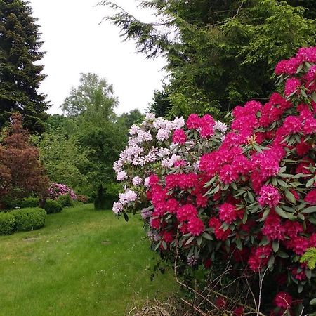 Ferienwohnung Gartenblick Worpswede Dış mekan fotoğraf