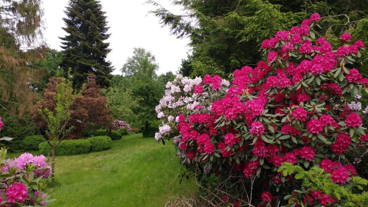 Ferienwohnung Gartenblick Worpswede Dış mekan fotoğraf